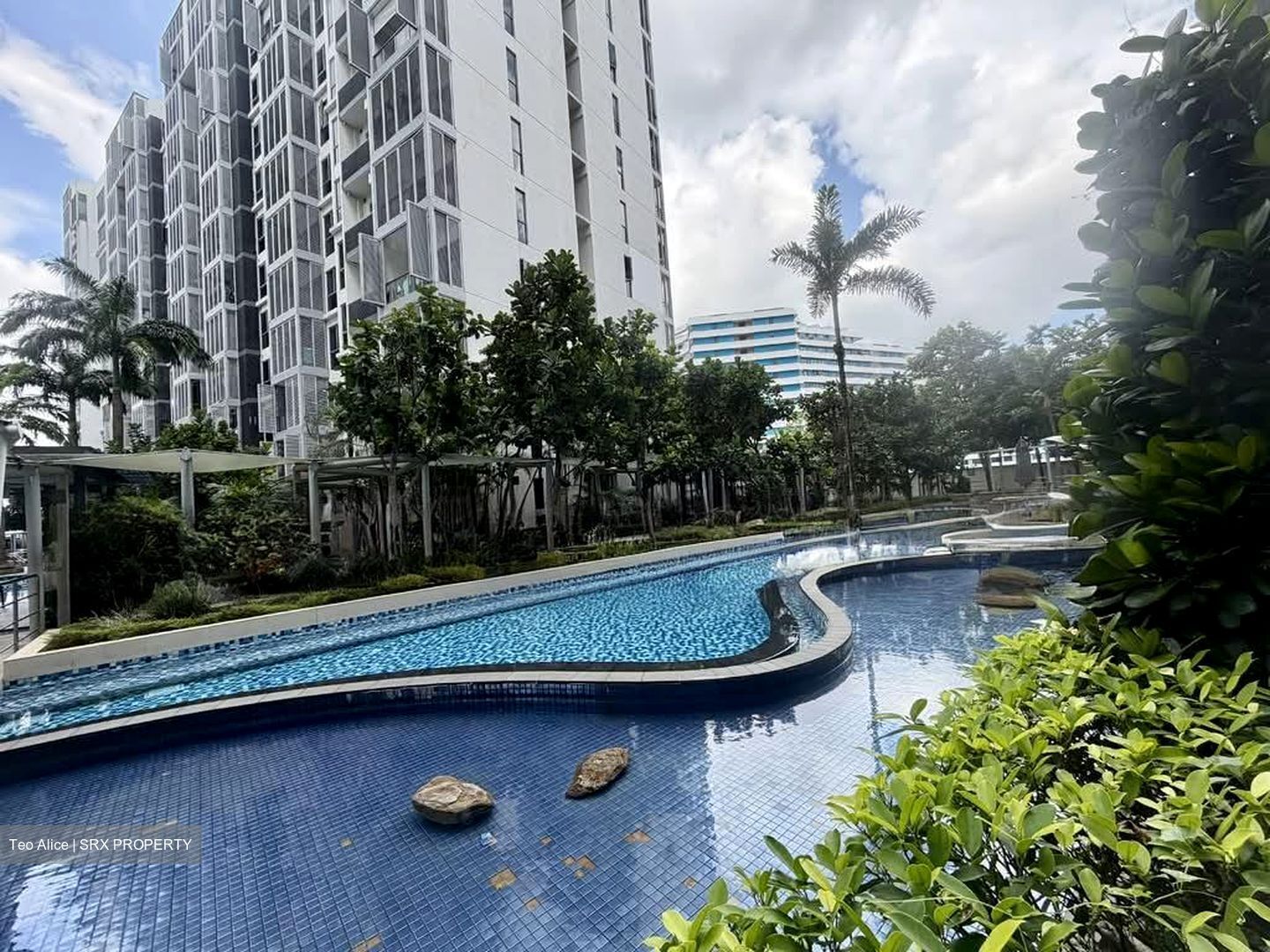 Watertown (D19), Apartment #536520721